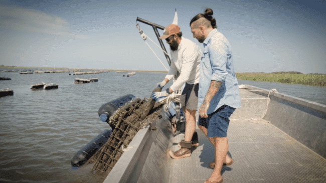 Dos hombres en un barco mirando ostras