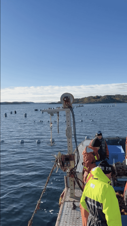 Gente en un barco inspeccionando un criadero de tunicados