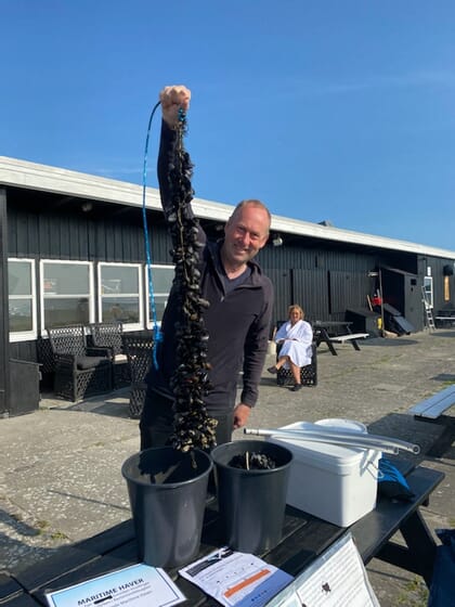 Rope grown mussels