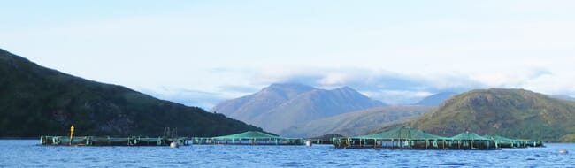 A fish farm.