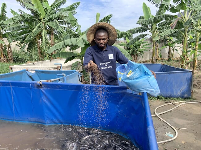 Hombre alimentando peces en una pecera de plástico